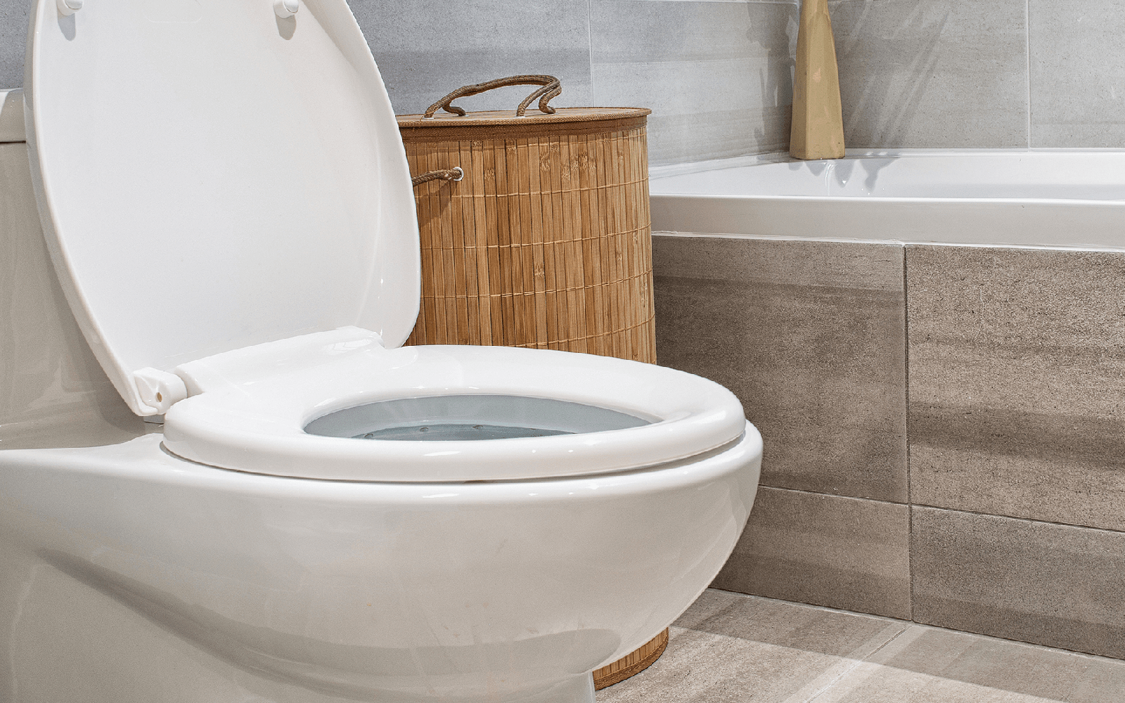 professional toilet repair in pasadena toilet rapair